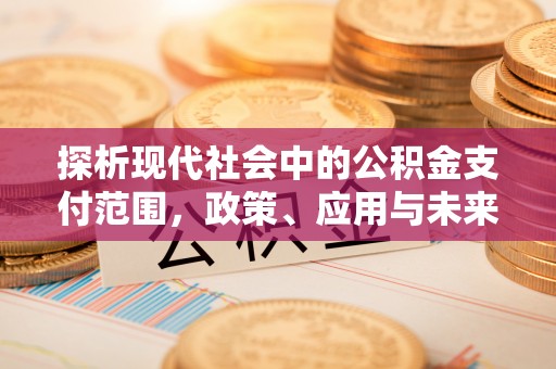 多伦探析现代社会中的公积金支付范围，政策、应用与未来趋势