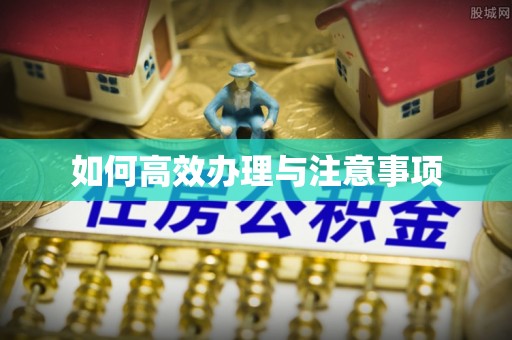 多伦如何高效办理与注意事项