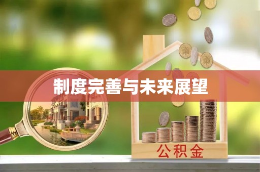 多伦制度完善与未来展望