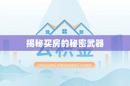 多伦揭秘买房的秘密武器