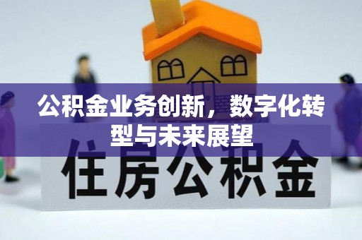 多伦公积金业务创新，数字化转型与未来展望