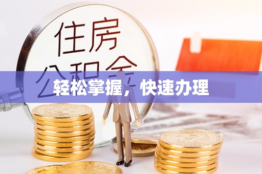 多伦轻松掌握，快速办理