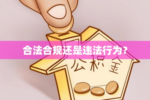 多伦合法合规还是违法行为？