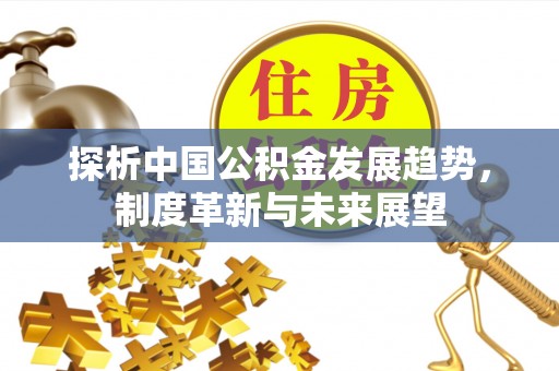 多伦探析中国公积金发展趋势，制度革新与未来展望