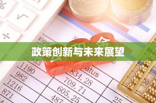 多伦政策创新与未来展望