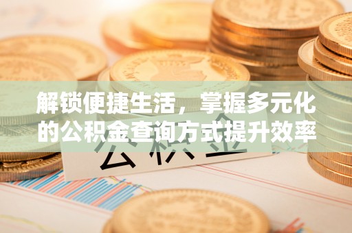 多伦解锁便捷生活，掌握多元化的公积金查询方式提升效率