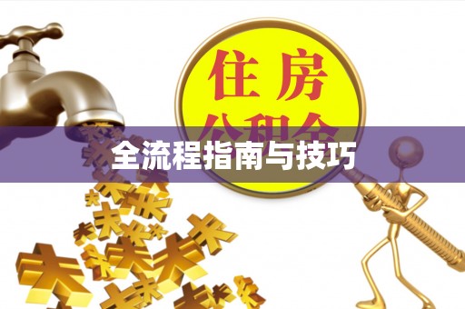 多伦全流程指南与技巧