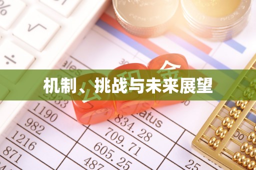 多伦机制、挑战与未来展望