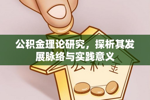 多伦公积金理论研究，探析其发展脉络与实践意义