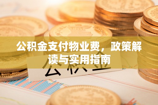 多伦公积金支付物业费，政策解读与实用指南