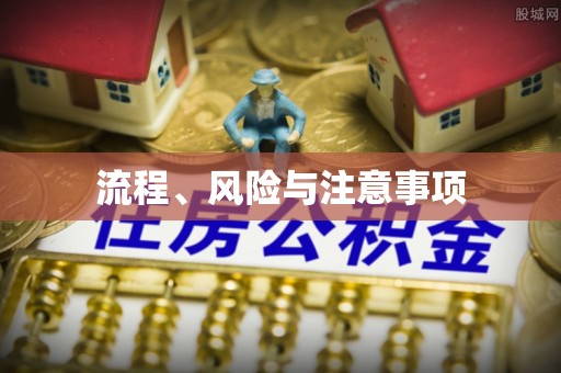 多伦流程、风险与注意事项