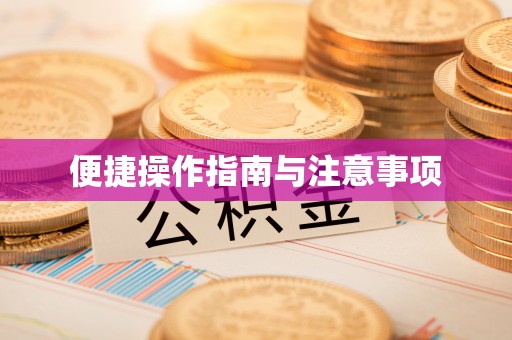 多伦便捷操作指南与注意事项