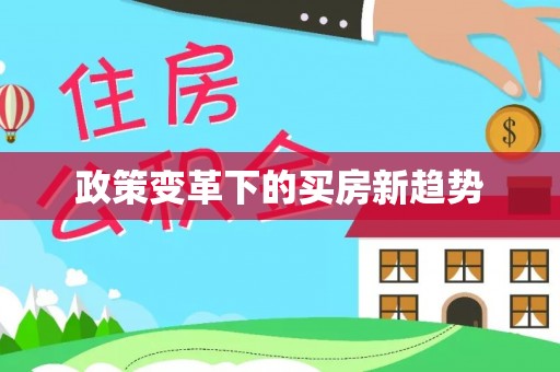 多伦政策变革下的买房新趋势