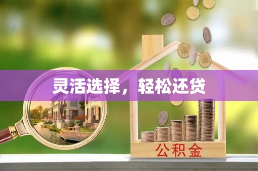 多伦灵活选择，轻松还贷