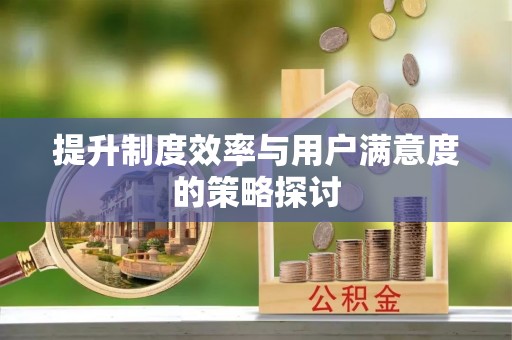 多伦提升制度效率与用户满意度的策略探讨